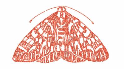 /images/uploads/The_Moth.jpg